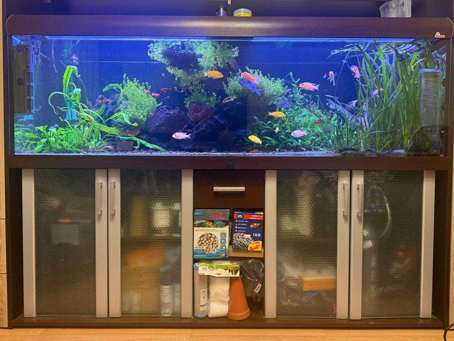 Diversa Zestaw akwarium 720L 200x60x60 kompletny z życiem