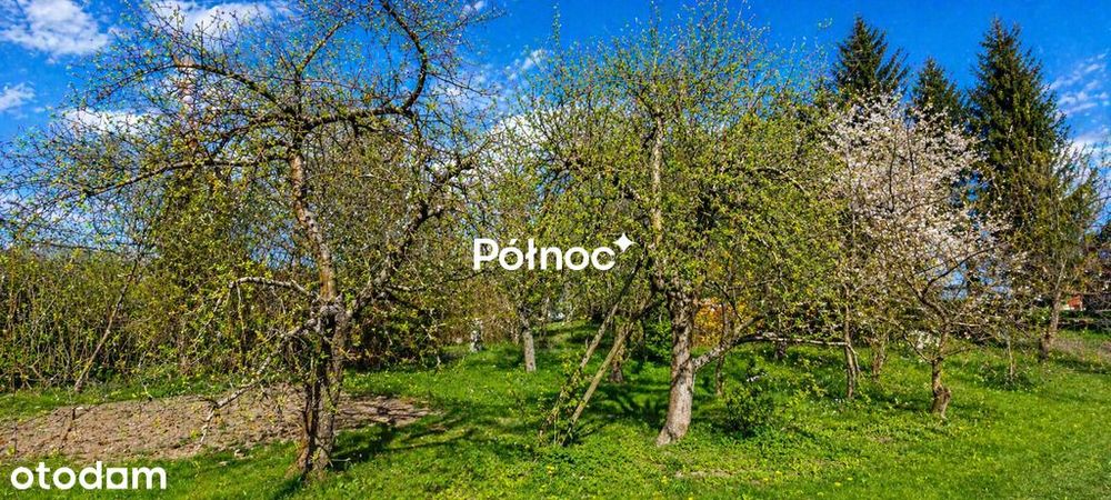 M4 Balkon Piwnica OGRÓD