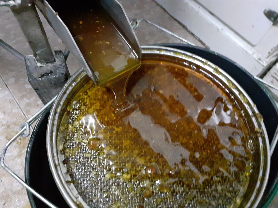 Mel puro . Ofereça e consuma ccc regularidade MEL durante todo o ano,