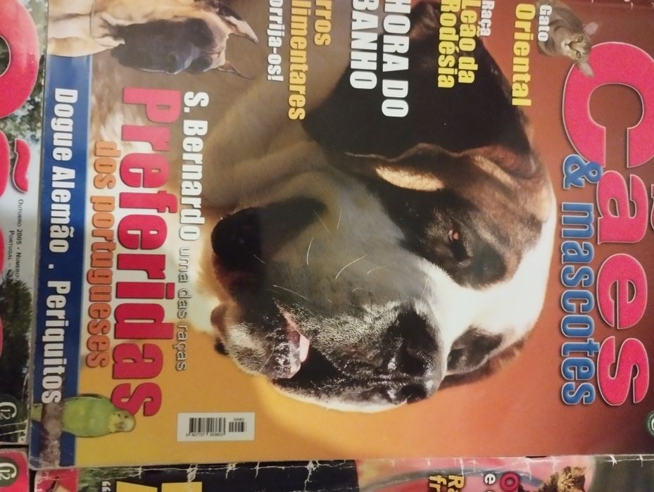 4 Revistas cães e mascotes