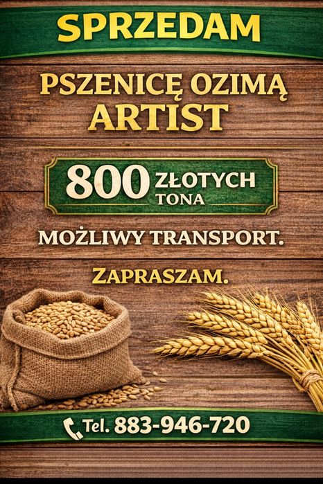 Sprzedam pszenicę ozimą Artist