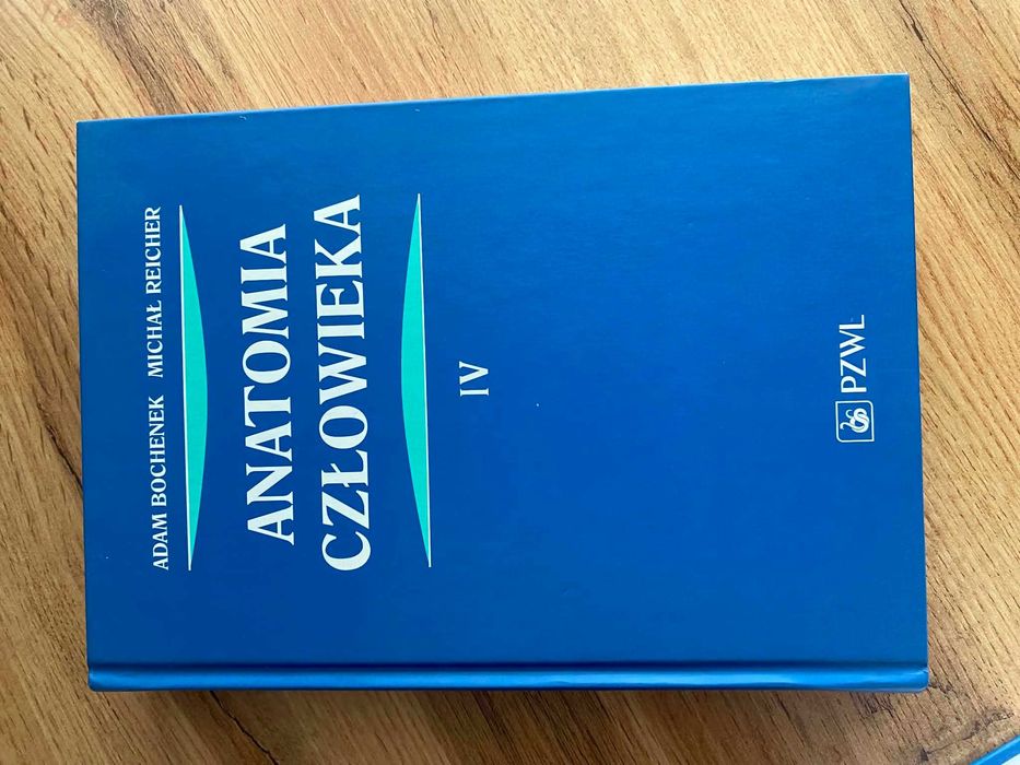 Anatomia człowieka Bochenek