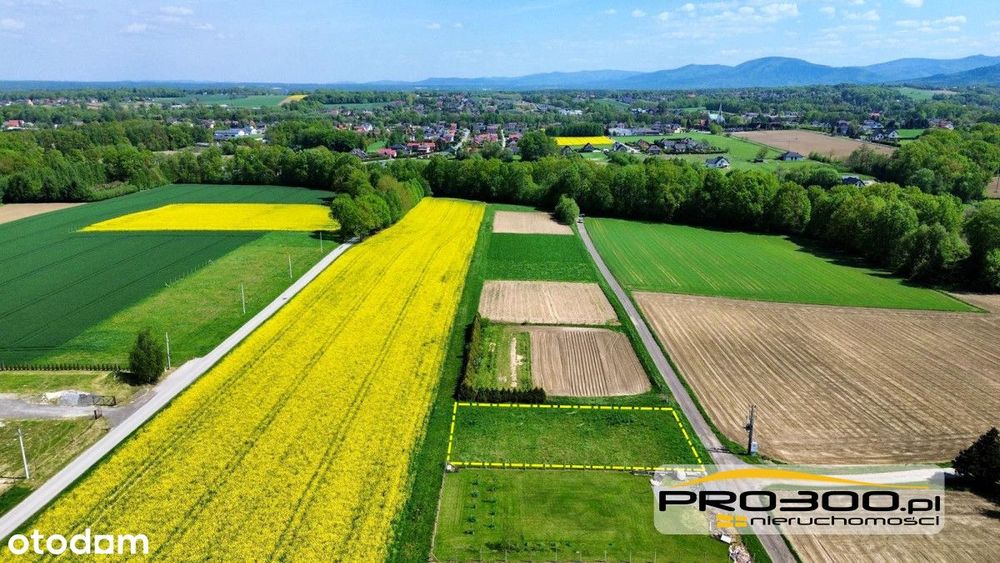 Działka z potencjałem – Pisarzowice | 966 m² - Więcej