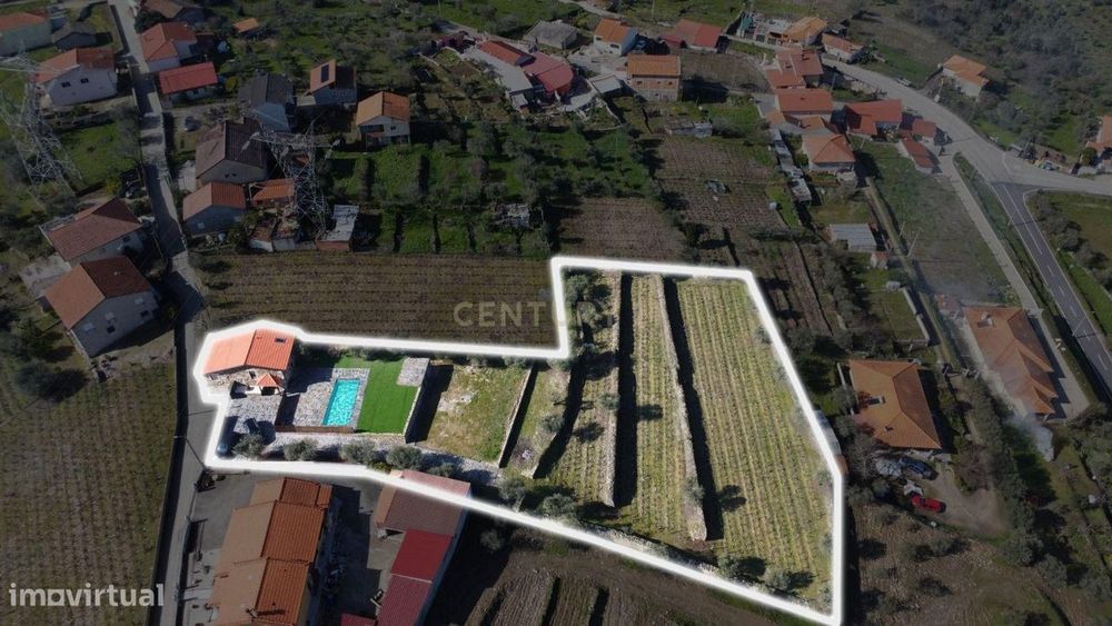 Quinta no Alto Douro Vinhateiro com Projeto Turístico Aprovado