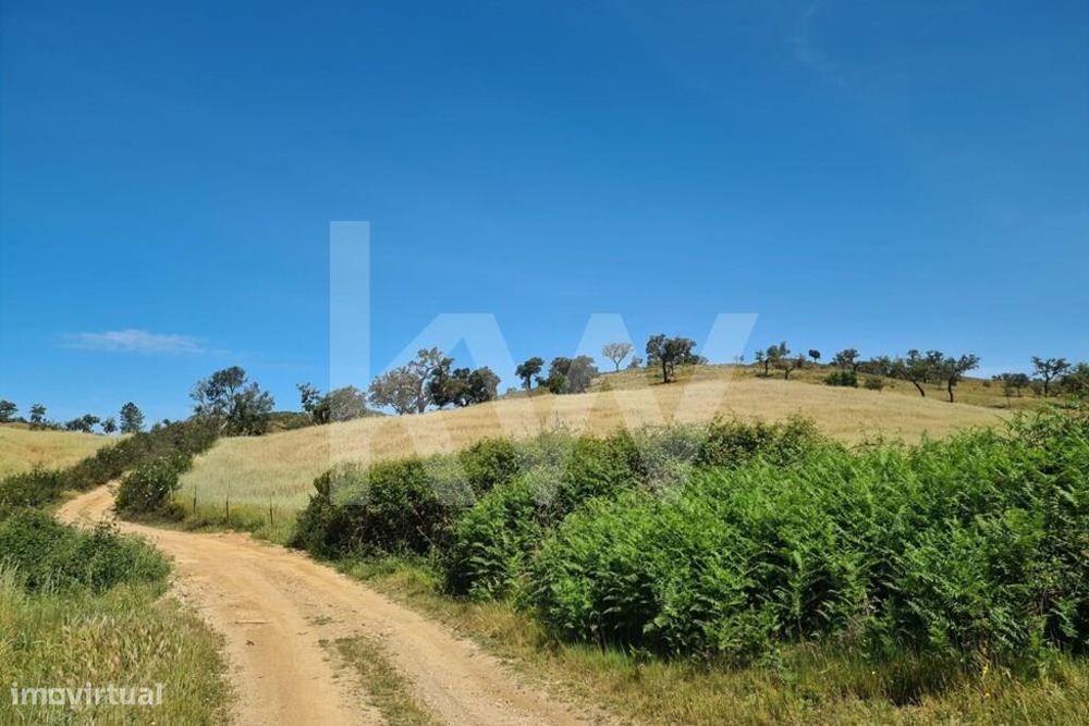 Herdade de 154 ha com ruína habitacional em Cubeiros de Cima, Relíquia