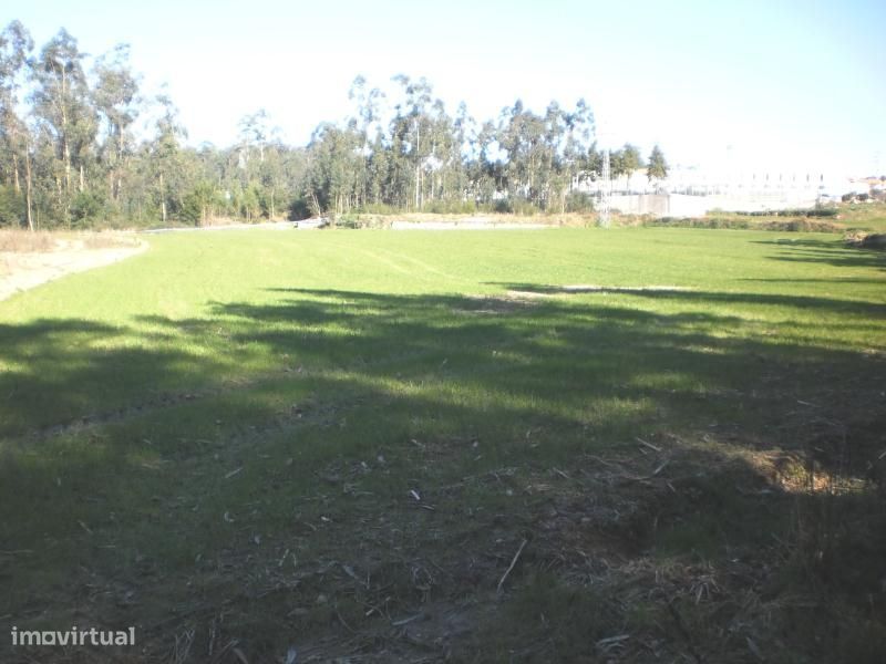 Terreno para construção de 23.000€ em Gião - Vila do Conde