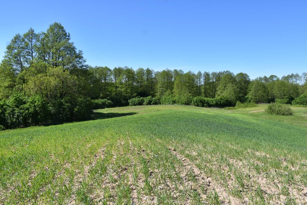 Działka rekreacyjna/rolna