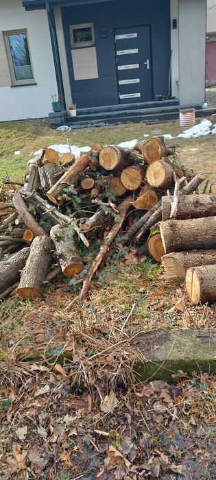 Drewno sosna na opał