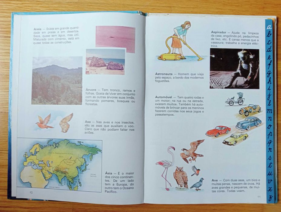 Livro - Dicionário Infantil