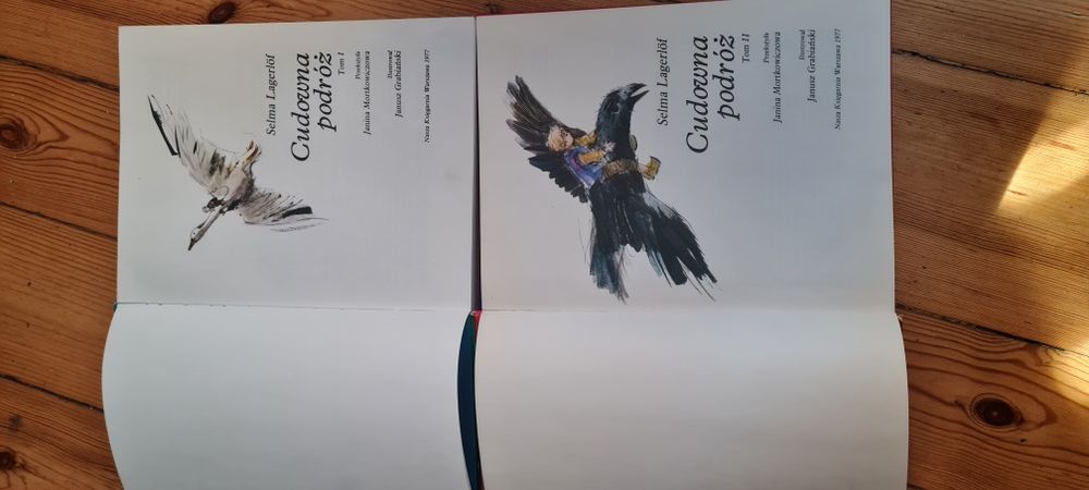 Baśń  Cudowna podróż - Selma Lagerlof