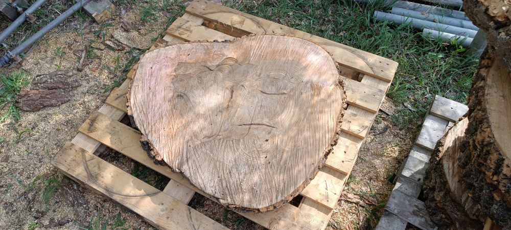 Plastry drewna z jesionu