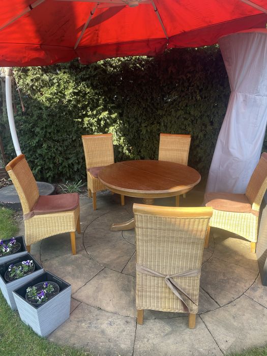 Krzesło Krzesła rattanowe drewno ogród zimowy