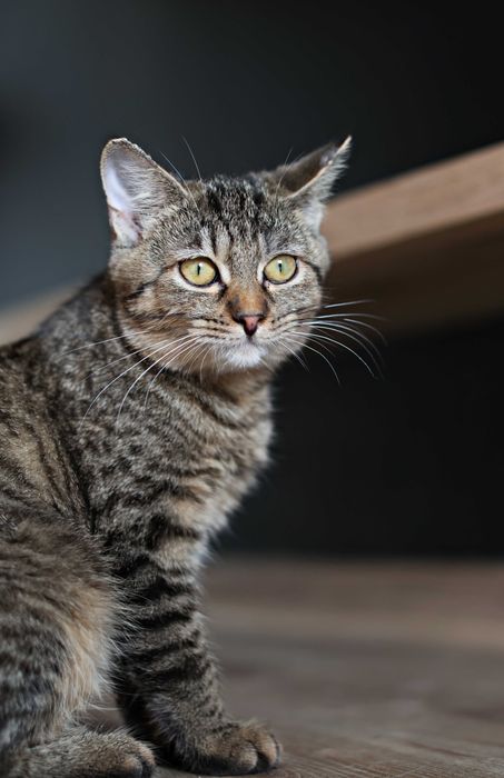 Teya czeka na swojego człowieka.