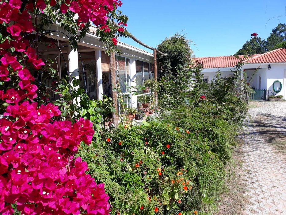 HOUSE FOR RENT FOR RESIDENTIAL USE