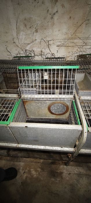 Jaulas para criação de coelhos usadas preço unitário