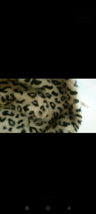 Boina animal print