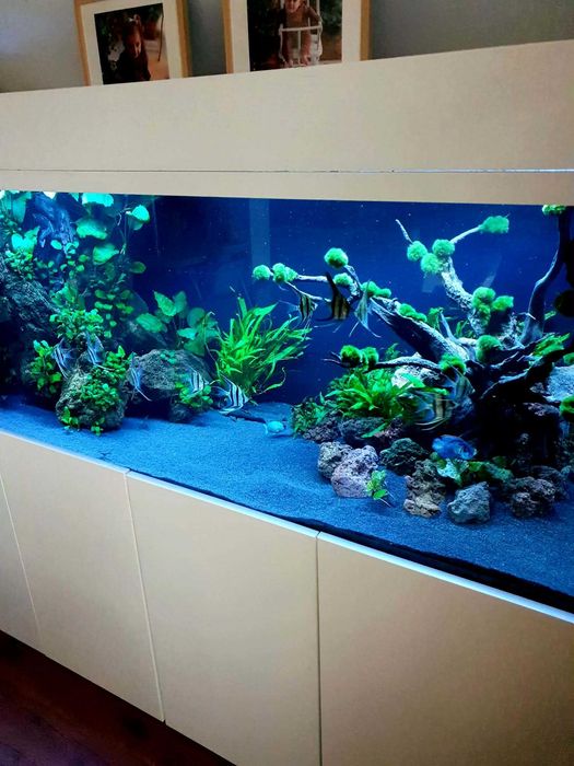 Akwarium 1000l 200x70x70