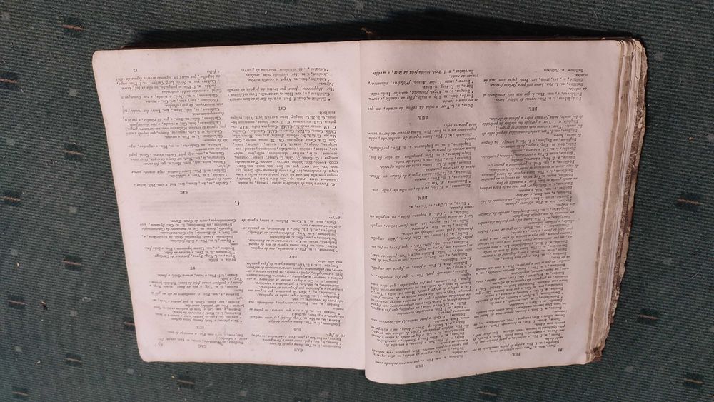 Magnum Lexicon Latinum et Lusitanum - 1863