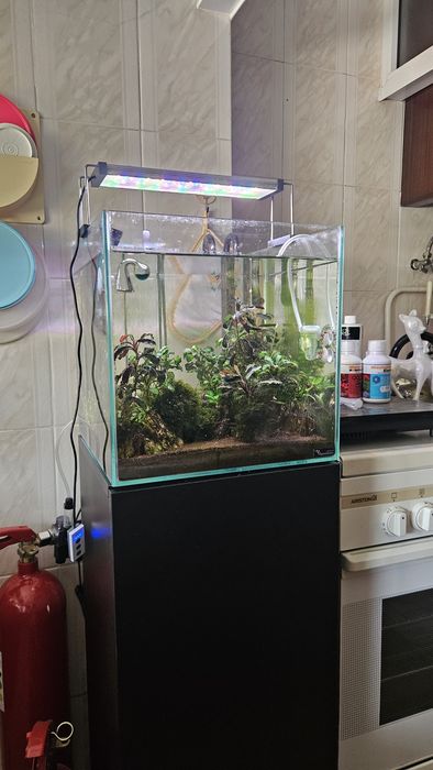 Vendo aquario 30x30x30