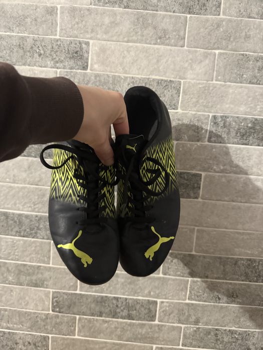 Копочки пума, puma