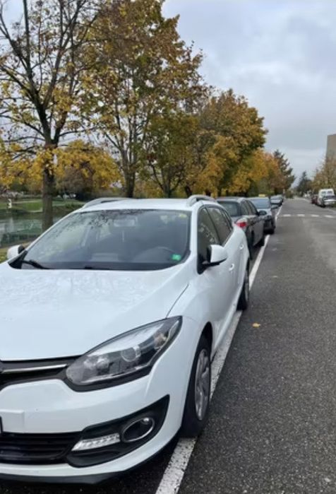 Авторозбірка Меган 3 Еспейс 4