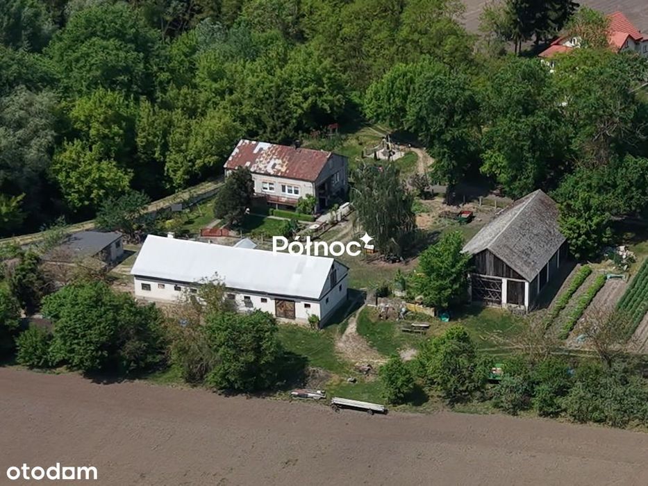 Siedlisko 15ha linia brzegowa Wisły, 65 km od WAW
