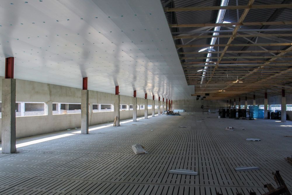 Podbitka Do Chlewni Płyta Izolacyjna Niebieska Styrodur XPS AGRO