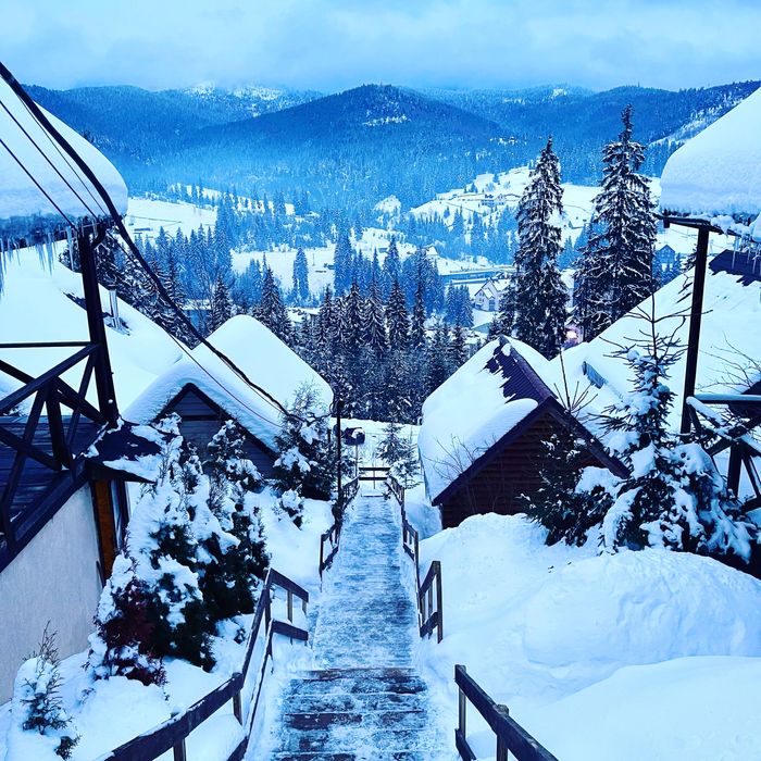 Оренда Будинок , дом, Котедж  буковель сауна