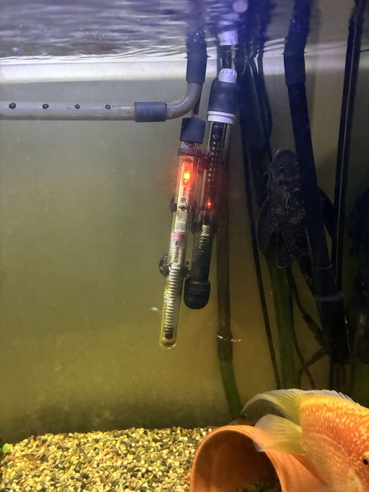 Aquario 250L + movel e com todos os acessorios e peixes