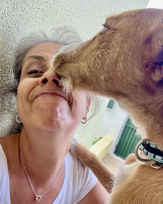 Dog Walking e Petsitting ao domicílio - Responsbilidade e Carinho