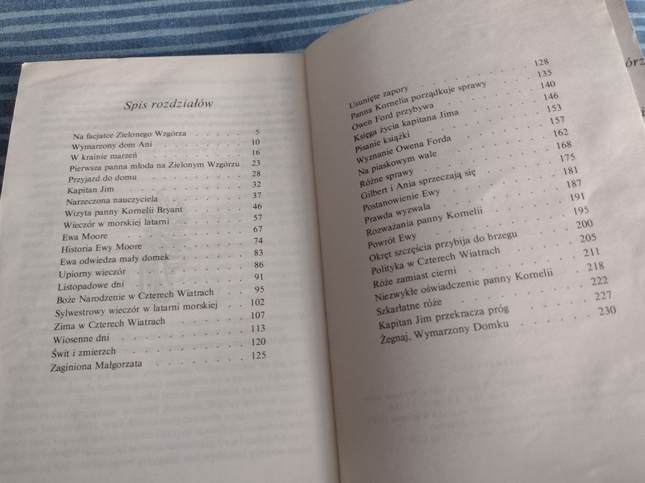 Książka ,, Wymarzony dom Ani "