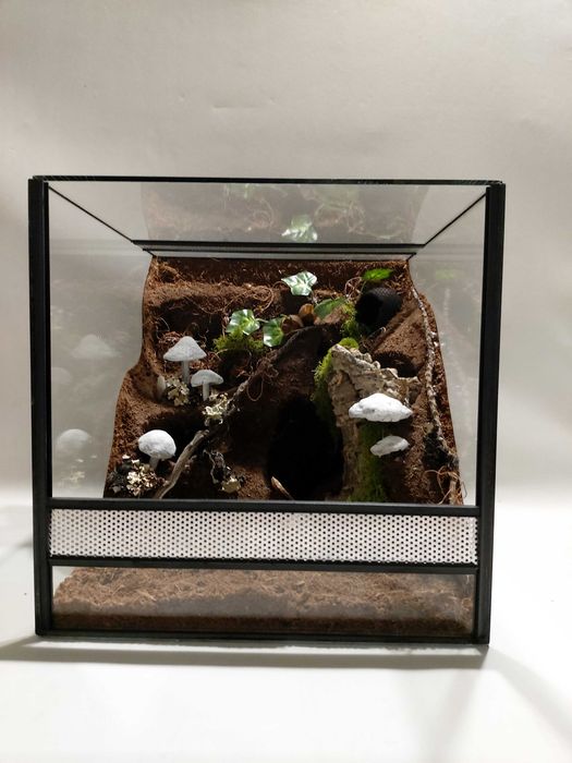 Terrarium dla gekona orzęsionego, płaczącego, pająka TW05T AquaWaves