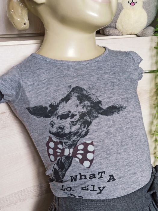 Sg Bluzka 74 , 80 ,  szary tshirt  , t-shirt 74 , 80 dla dziewczynki