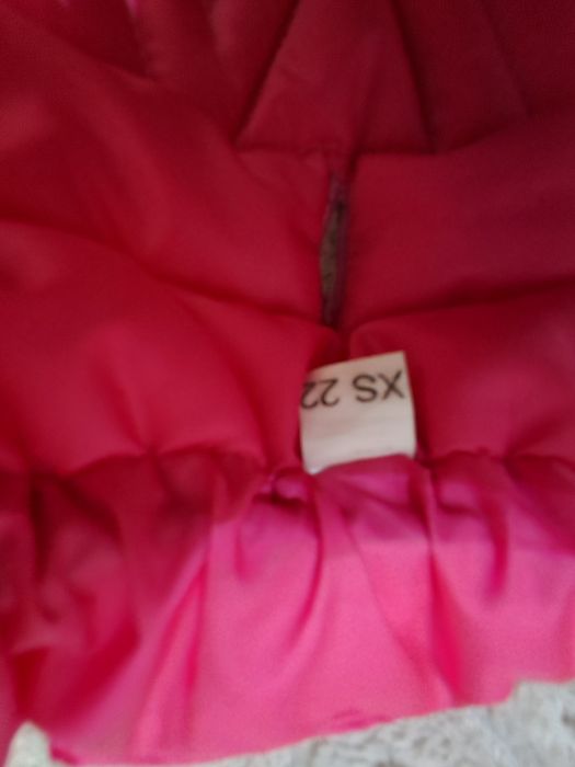 Жилетка для собак