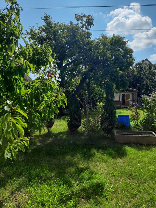 Działka rekreacyjna ROD