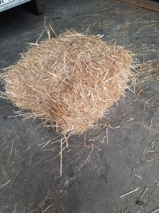 Siano w kostkach tegoroczne, owies