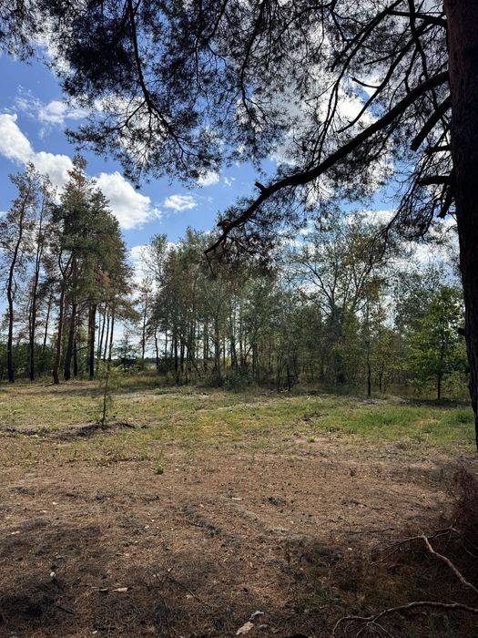 Песчанка, три участка рядом 35 соток