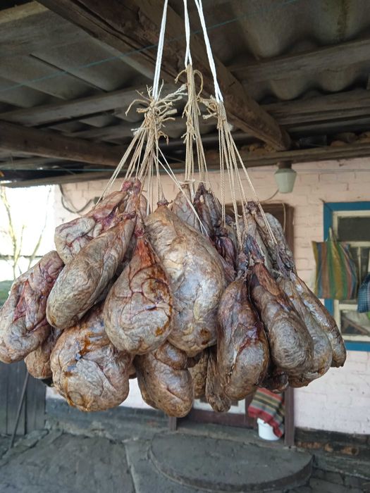 Боброва струя вялена.