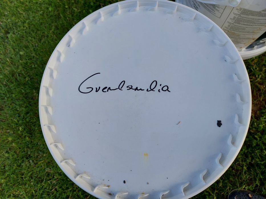 Tynk silikonowy Grenlandia