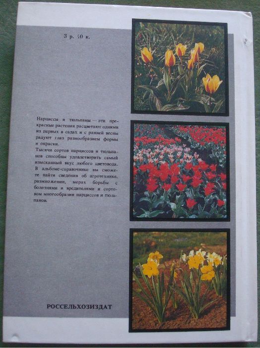 Книга альбом Нарциссы Тюльпаны Цветоводство.