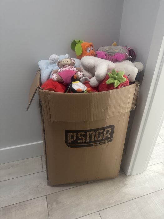 Maskotki duży karton