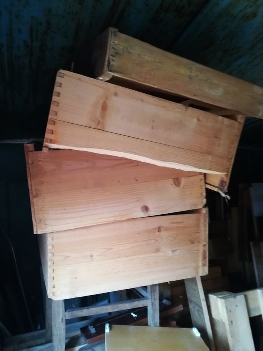 Дрова  1 м3 с доставкой