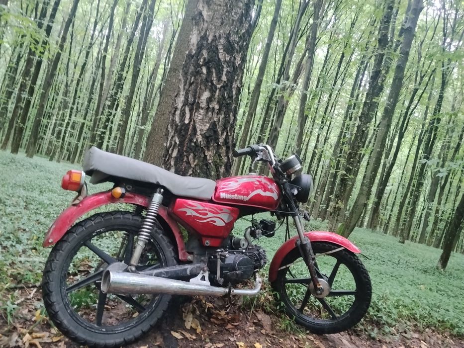 альфа Мустанг 110