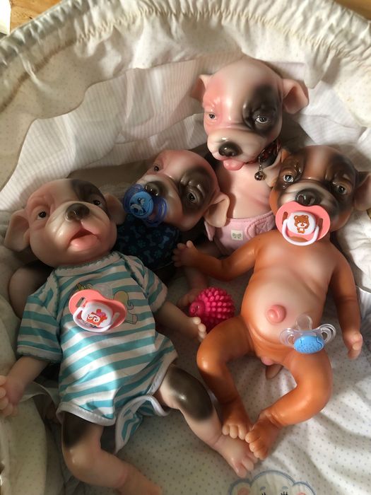 Cachorro reborn ( verdadeiro silicone) Cosdoll