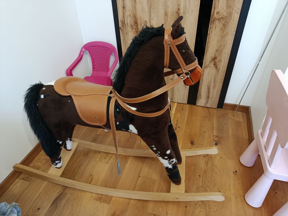 Konik na biegunach
