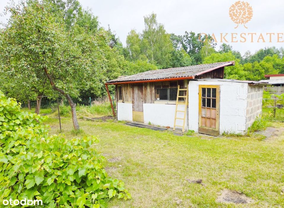 Dom – Skarżysko-Kamienna - Widok 5