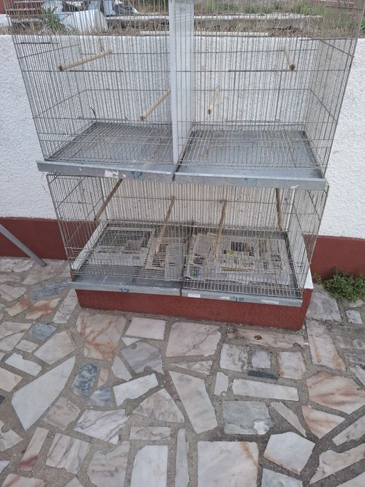 2 viveiros 1.00mx55x55