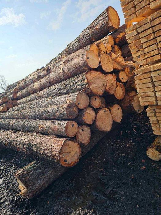 Кругляк (колоды) диаметр 15-25 мм. Длина от 4 до 6м. Все виды оплат