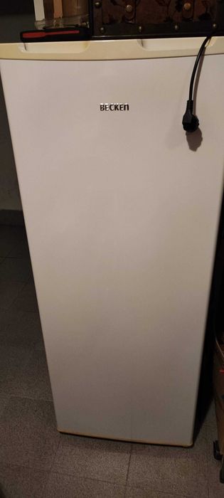 Arca Congeladora Vertical Becken 160Lt