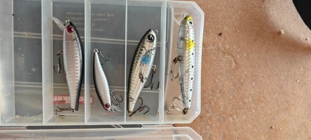 Conjunto de light spinning